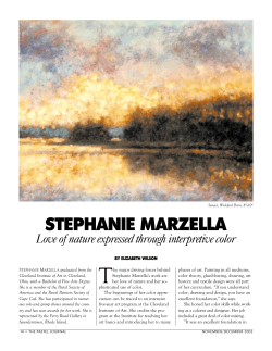 Stephanie is an advocate of fixative.