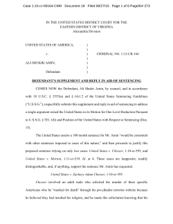 Supplement in Aid of Sentencing