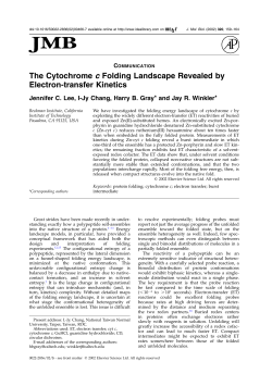 The Cytochrome c Folding Landscape Revealed by Electron