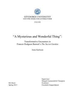 A Mysterious and Wonderful Thing
