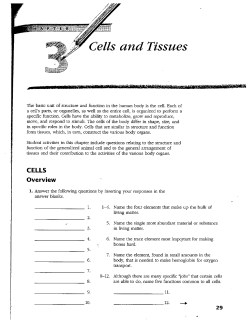 Cells and Tissues