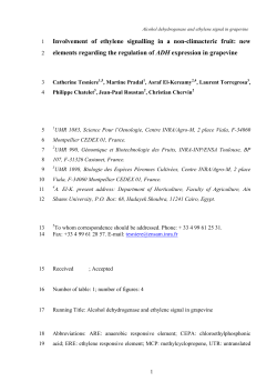 Get cached PDF