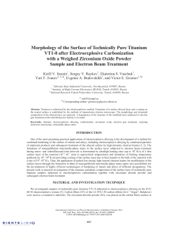 Morphology of the Surface of Technically Pure Titanium VT1