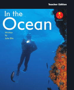 Ocean - Alpha Literacy