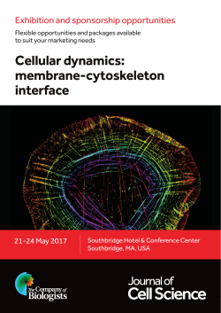 Cellular dynamics: membrane