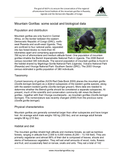 Mountain Gorillas: some social and biological data