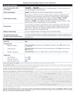 Consumer Credit Card Application