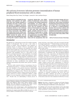 Mycoplasma fermentans infection promotes
