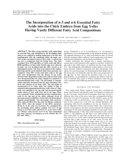 The Incorporation of n-3 and n-6 Essential Fatty Acids into