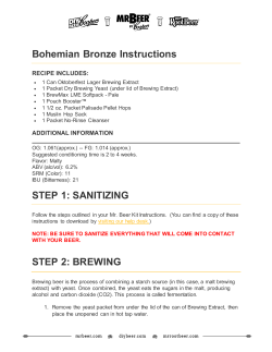 Bohemian Bronze Instructions