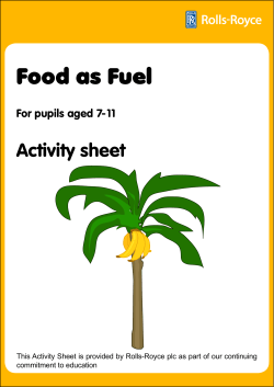 Food as Fuel - Rolls
