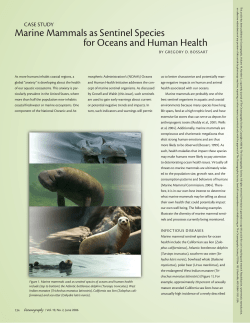 Marine Mammals as Sentinel Species for Oceans and Human Health