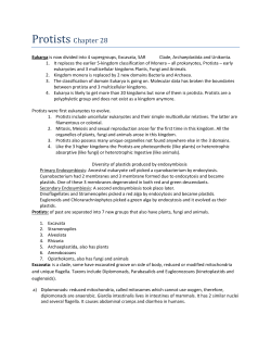 Protists Chap28 - El Camino College