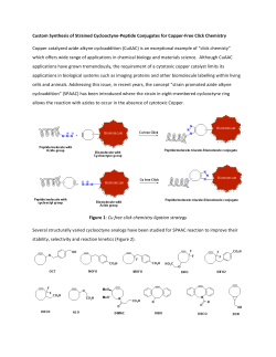 Custom Synthesis of Strained Cyclooctyne