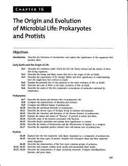 and Protists - Scranton Prep Biology