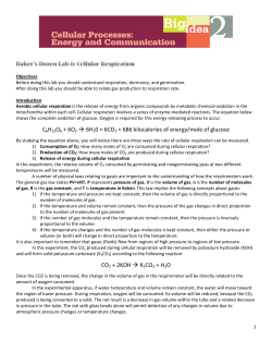 C6H12O6 + 6O2 &rarr; 6H20 + 6CO2 + 686 kilocalories of