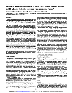 Differential Spectrum of Expression of Neural Cell Adhesion