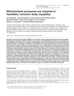 Mitochondrial processes are impaired in hereditary inclusion body