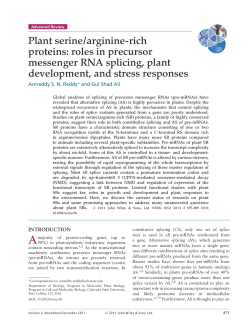 Plant serine/argininerich proteins: roles in precursor messenger