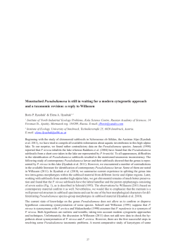 Moustached Pseudodiamesa is still in waiting for a modern