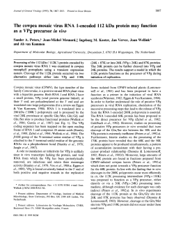 The cowpea mosaic virus RNA 1-encoded 112 kDa protein may