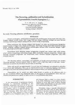 The flowering, pollination and hybridization of groundnuts (Arachis