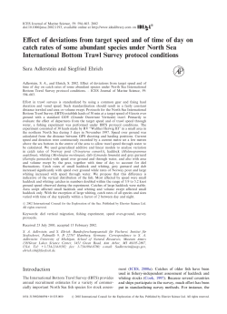 Effect of deviations from target speed and of time of day on catch