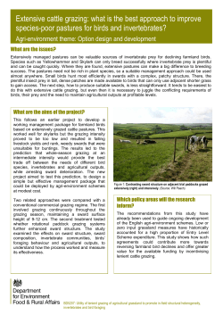 Extensive cattle grazing: what is the best approach
