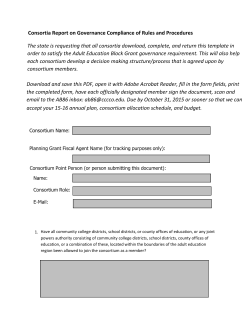 Governance Template