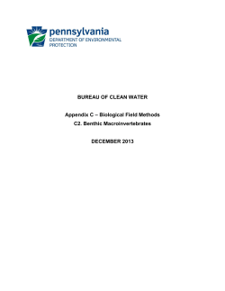 AppendixC_Benthic Macros