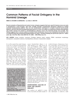 Common Patterns of Facial Ontogeny in the Hominid