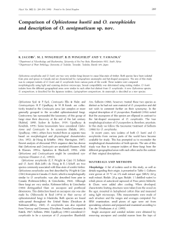 Comparison of Ophiostoma huntii and O. europhioides and