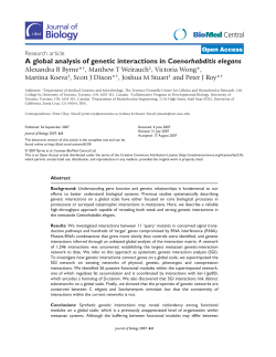 A global analysis of genetic interactions in Caenorhabditis elegans
