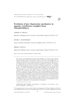 as a PDF