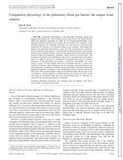 Comparative physiology of the pulmonary blood