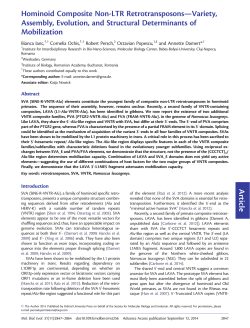 Article Hominoid Composite Non-LTR