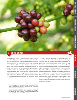 The global coffee market - International Institute for Sustainable