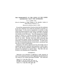 THE PERMEABILITY OF THE LINING OF THE