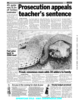 Proud, venomous mum adds 30 adders to family