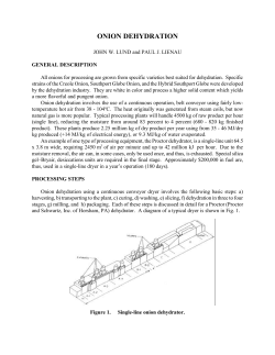 Onion Dehydration