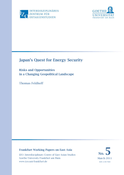 Japan`s Quest for Energy Security