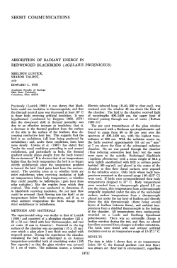 Absorption of Radiant Energy in Redwinged Blackbirds (Agelaius
