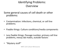 Identifying Problems: Overview