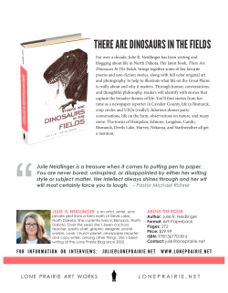 Dinos Promotional Brochure.cdr
