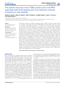 The potato mop-top virus TGB2 protein and viral RNA associate with