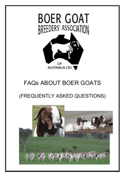 FAQ`s (FREQUENTLY ASKED QUESTIONS)