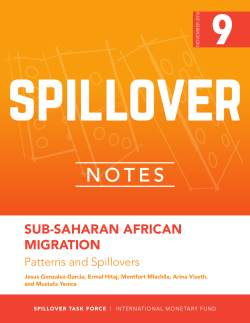 Sub-Saharan African Migration, Patterns and Spillovers