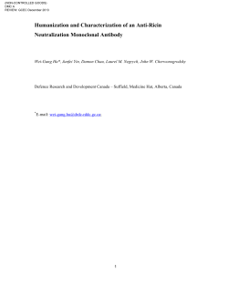 Humanization and Characterization of an Anti