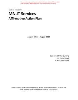 MN.IT Services` 2016-18 Affirmative Action Plan