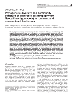 Phylogenetic diversity and community structure of anaerobic gut fungi